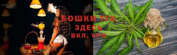 PSILOCYBIN Армянск