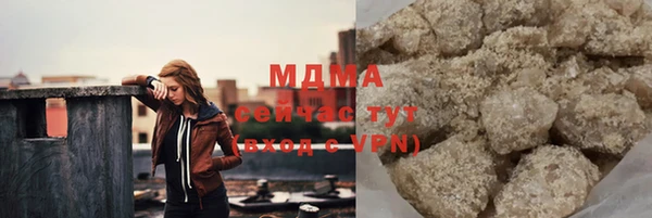 индика Арсеньев
