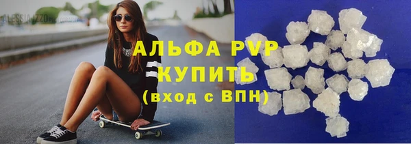 индика Арсеньев