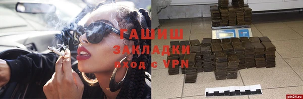 индика Арсеньев