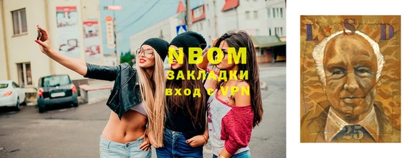 индика Арсеньев
