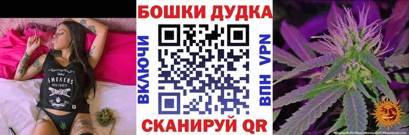сколько стоит  Канаш  Бошки Шишки SATIVA & INDICA 